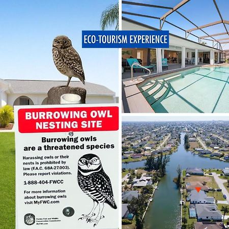 Luxury Waterfront Haven In Cape Coral - Dog-Friendly Escape With Private Pool Villa Luaran gambar